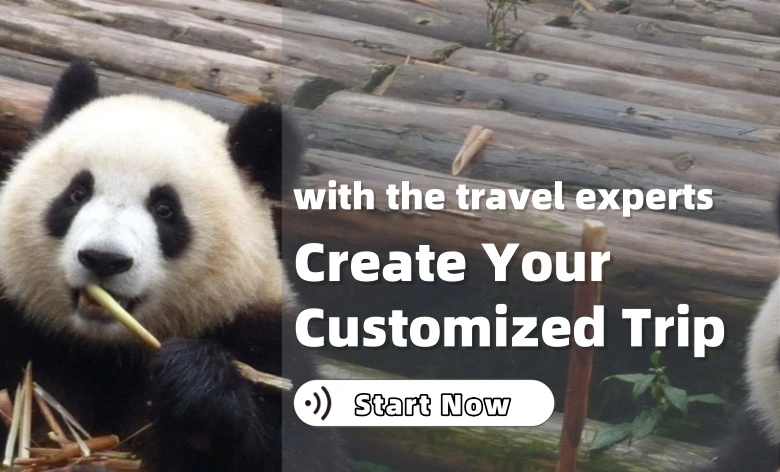 Customize Your China Tour