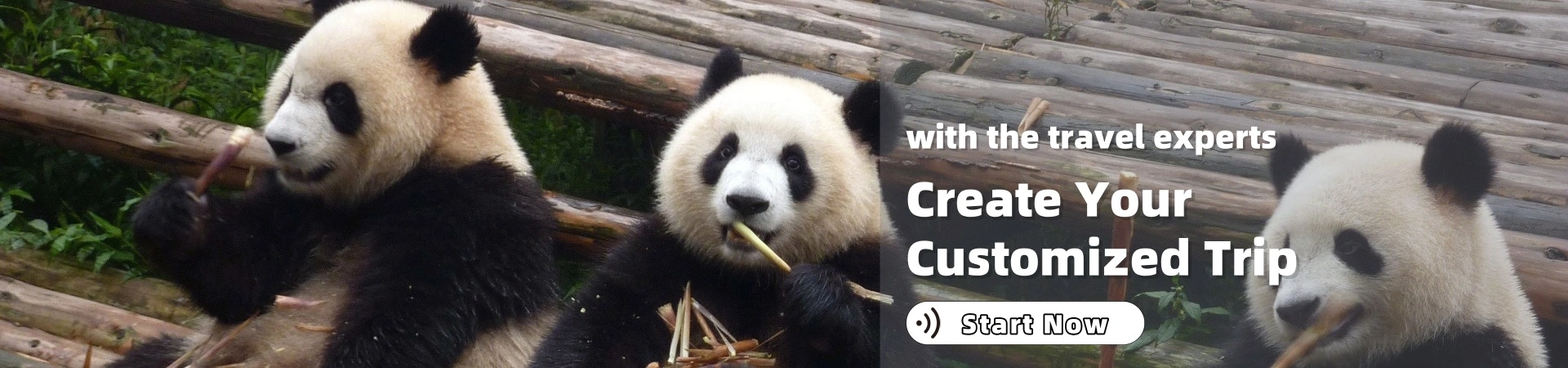 Customize Your China Tour