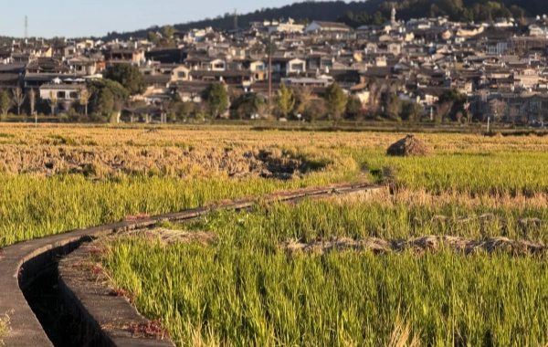 Heshun Ancient Town: A Heartwarming Journey from the Horse Caravan Posthouse to the Hometown of Overseas Chinese filled with the fragrance of Books-2