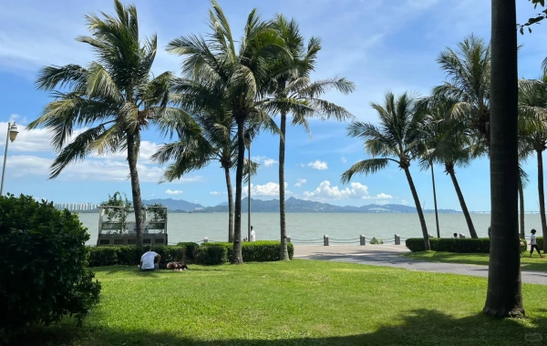 Shenzhen Bay Parco: una trasformazione da fiocchi costieri a cuore verde urbano-3