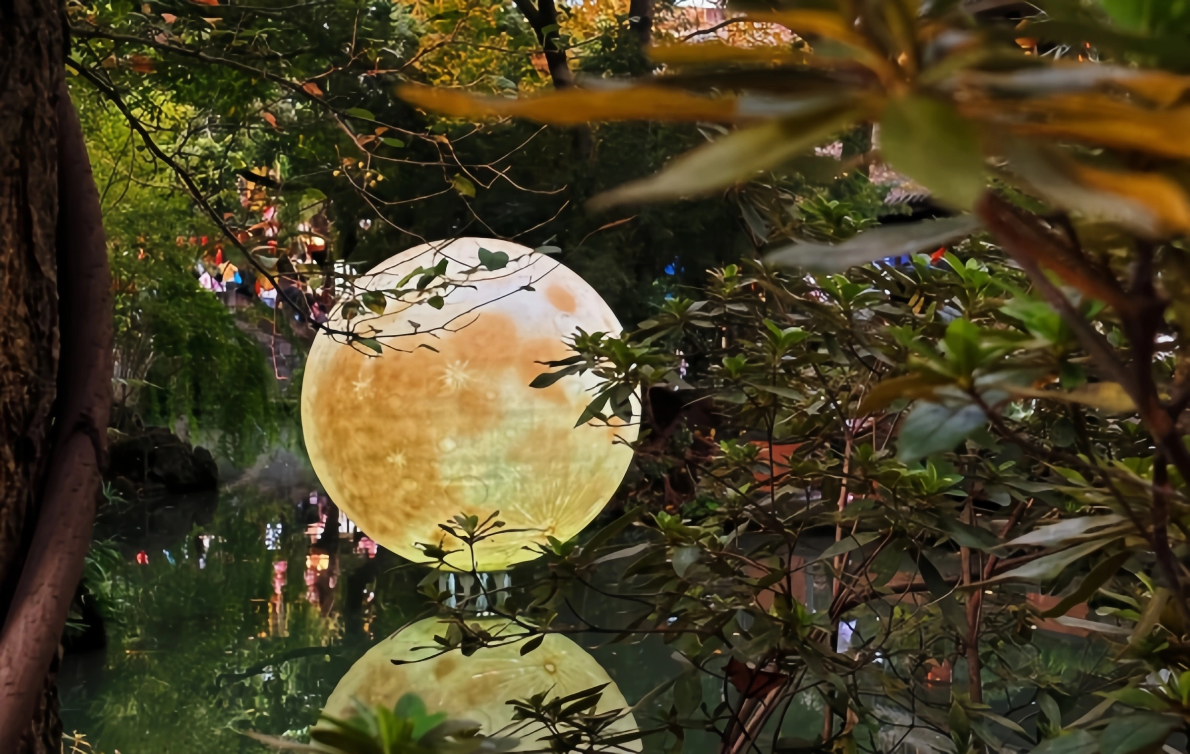 済州古街:西修の第一街とハン・ハンの歌手の魅力の千年花火-3