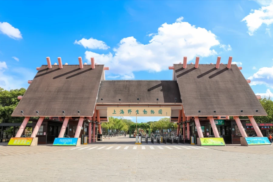 Shanghai Wild Animal Park: An Exploration Journey from Urban Oasis to Natural Kingdom-2