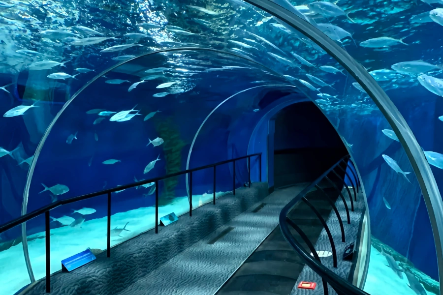 Shanghai Ocean Aquarium: A Panoramic Ocean Journey from the Yangtze River to the Deep Sea