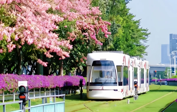 Guangzhou Day Tour: Trolley, Glass Museum & Night Cruise