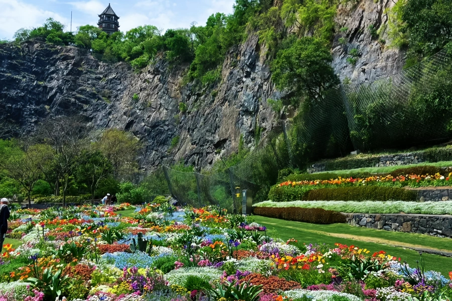 Chenshan Botanical Garden: A Green Rebirth Journey from Abandoned Mine to Ecological Sanctuary-2