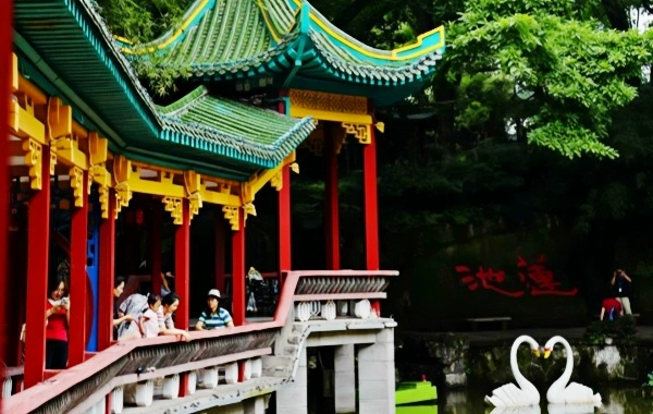 Парк Элинг: путешествие по вековому саду и панорамный вид на две реки с саммита на полуострове Чунцин-2