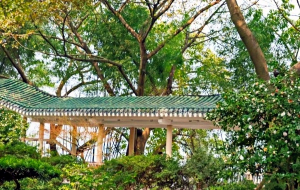 Парк Элинг: путешествие по вековому саду и панорамный вид на две реки с саммита на полуострове Чунцин-3