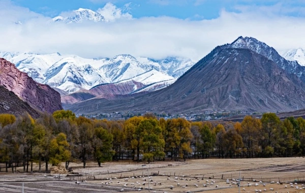 Les montagnes de Qilian: un miracle écologique— D'un 