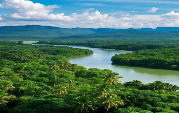 Premierval Forest Park: Voyage dans le royaume secret du royaume de Peacock et des forêts tropicales pluviales-3