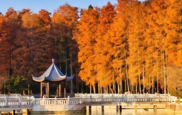 Parc National des Forêts de Fuzhou:Un Lung vert dans la ville et un épi naturel du Roi Banyan millénaire-3