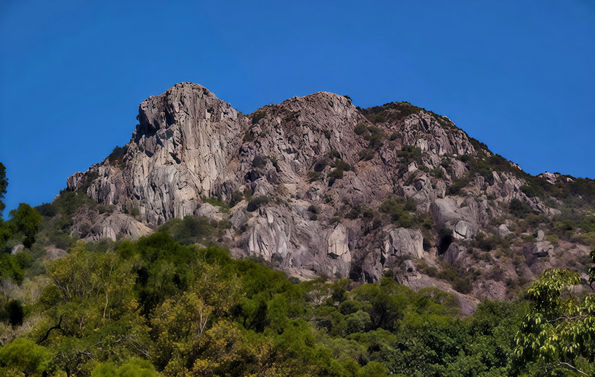 Lion Rock : Voyage à Hong Kong