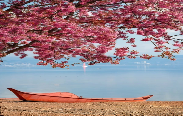 Fuxian Lake: 수중 고대 도시와 푸른 산학을 발견하는 생태 여행-4