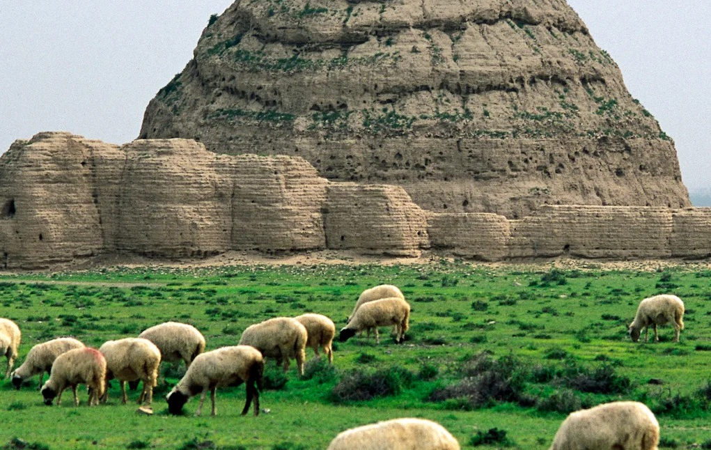 Western Xia Tombs: Les Echos mystérieux d'une dynastie abandonnée-3