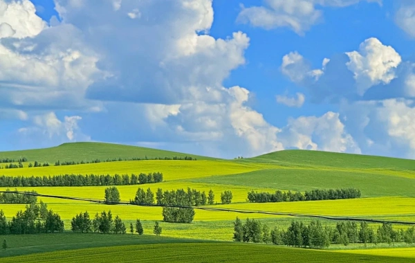 Hulunbuir Grassland:A Voyage vers la rivière la plus éolienne du monde dans le royaume des pâturages
