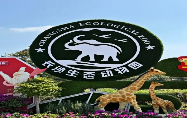 Changsha Ecologico Zoo:Un viaggio in un