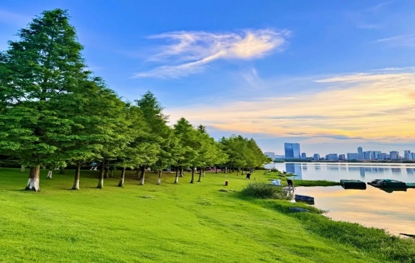 Yanghu Wetland Park: Un viaggio di rinascita per l'umanità e la natura nella Cina centrale-sud più grande-3