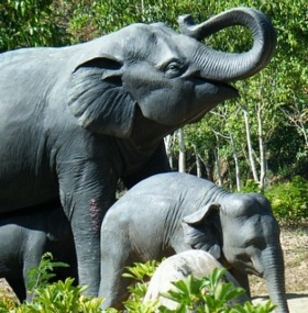 Xishuangbanna Subtropical Nature and Culture Tour