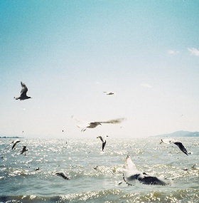 Dali and Lijiang Old Town Tour