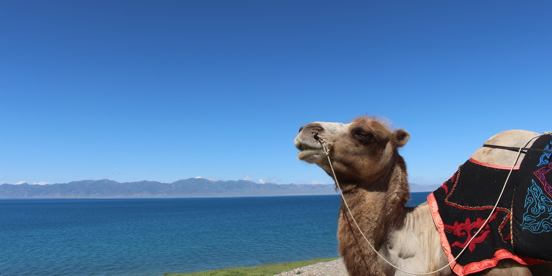 (سينجيانج) العشرة الأولى من أنشطة السفر