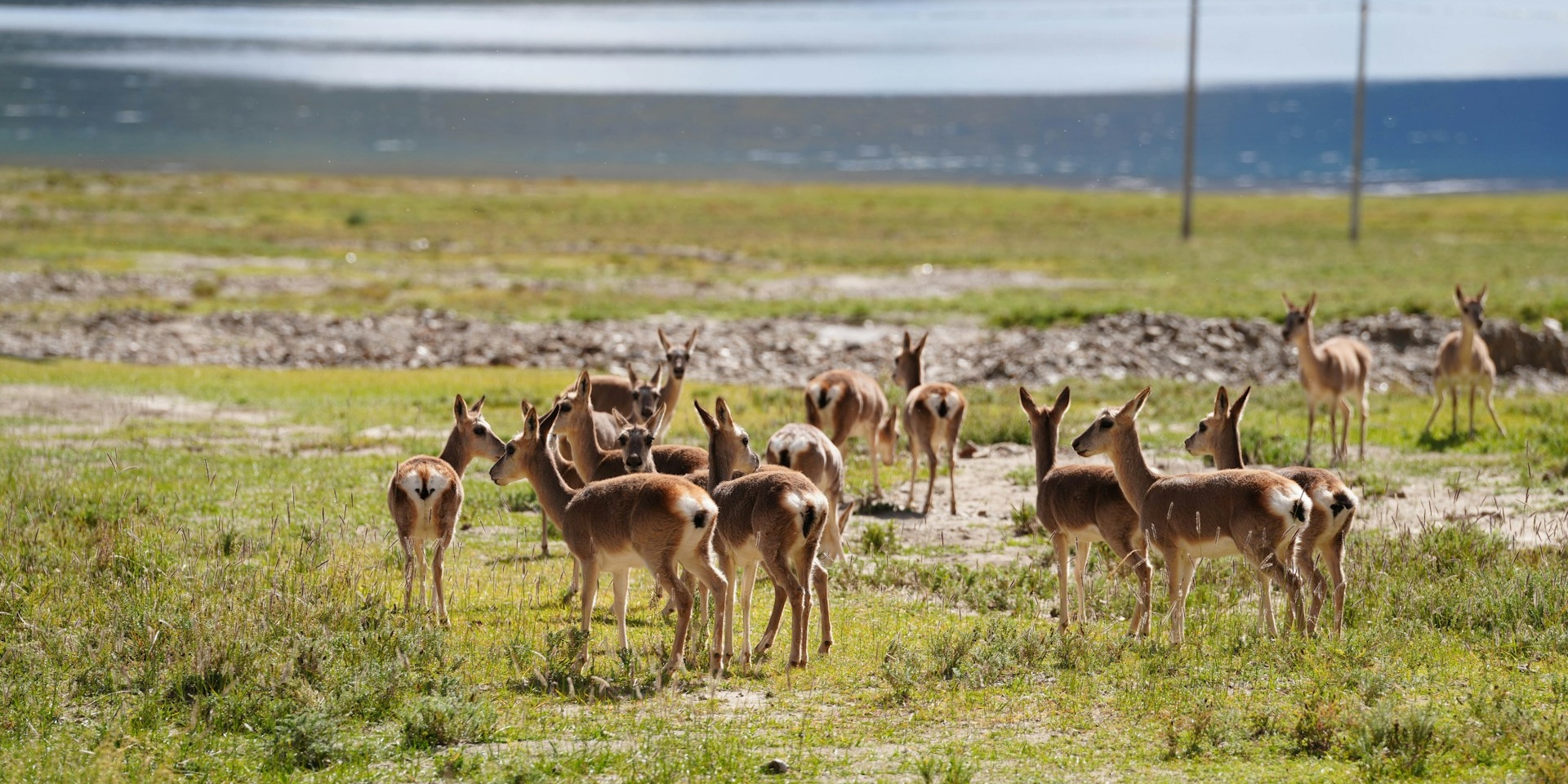 Must-Know about the Tibet Entry Permit