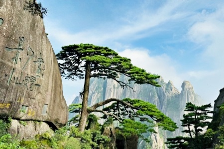 Shanghai and Mount Huang Tour