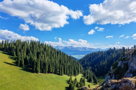 Xinjiang Grassland Adventure Tour