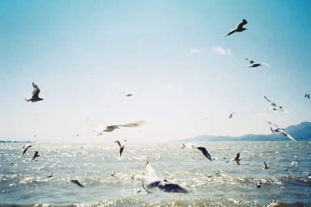 Trip to South of Colorful Clouds