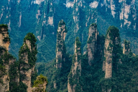 Enjoy Zhangjiajie with 