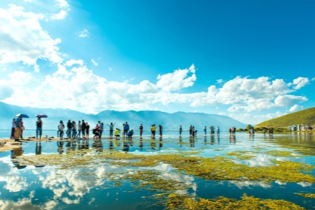 Yunnan's most popular cities Tour (Kunming, Dali, Lijiang, Shangri-La)