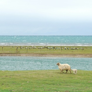 Discover Qinghai's Best Highlights