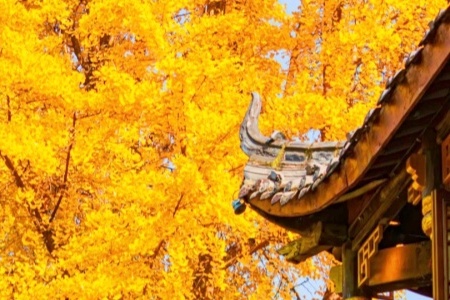 The Best Time to Visit Chengdu