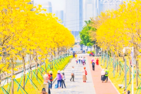 Guangzhou Travel Seasons: Picking the Ideal Month for Your Trip