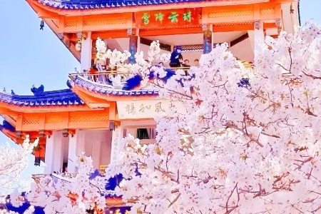 Jiangsu Bucket List: 5 Cultural Gems You Can't Miss in Eastern China