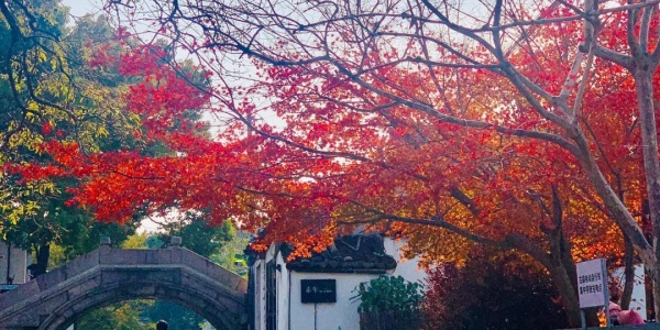 1737532196146.jpg 11.jpg