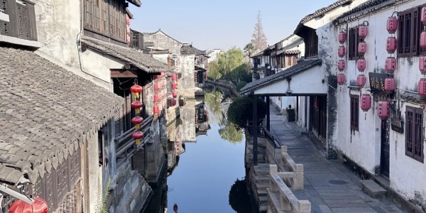 1737532296880.jpg 44.jpg