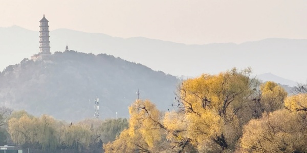 1737540857083.jpg 颐和园_7_梁大大_来自小红书网页版.jpg