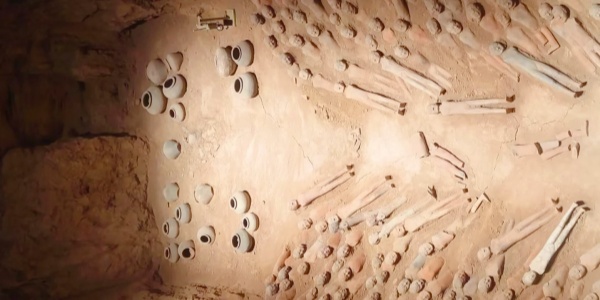 1737629234367.jpg 1.jpg