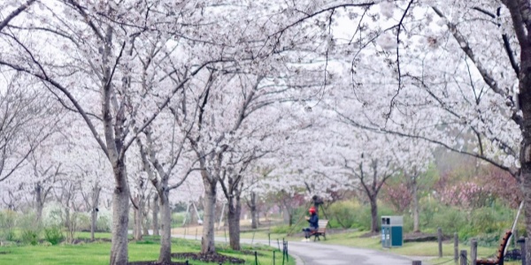 上海植物园 (2).jpg