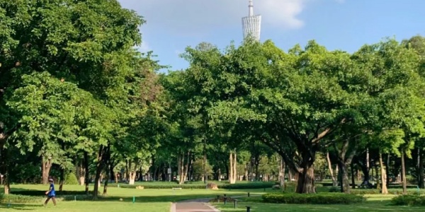 1741234653290.jpg Ersha Island Art Park,day trips from guangzhou.jpg