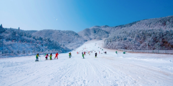 1741344327143.jpg ski.jpg