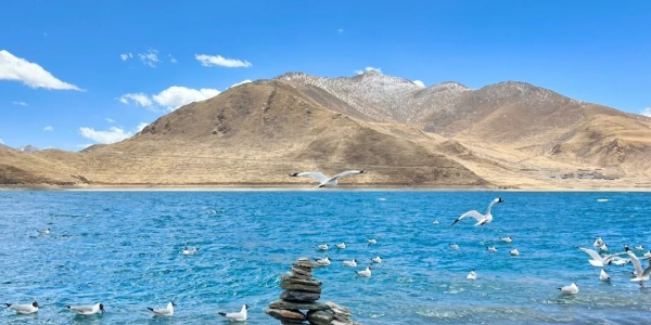 Yang Zhuo Yongcuo,china tourist spots,tibet.jpg
