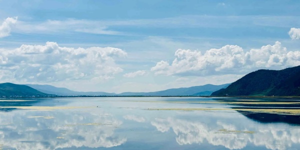 Napa Sea， shangri la.jpg