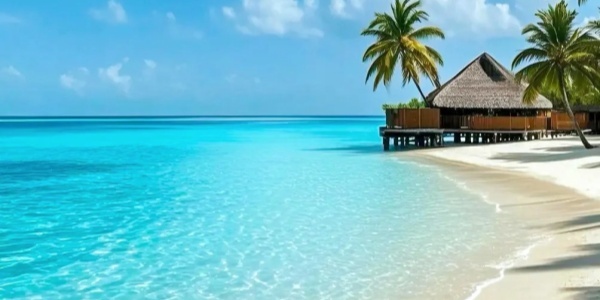 wuzhizhou island,china travel guidelines,sanya.jpg