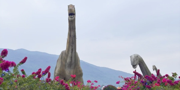 Sanya Haitang Bay Rice National Park,family trip, sanya travel,china tour.jpg