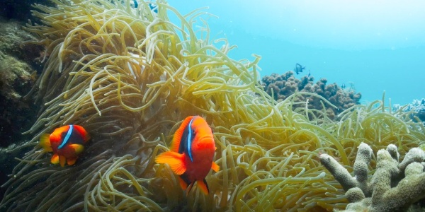 the underwater world,sanya tour,outdoor adventure.jpg