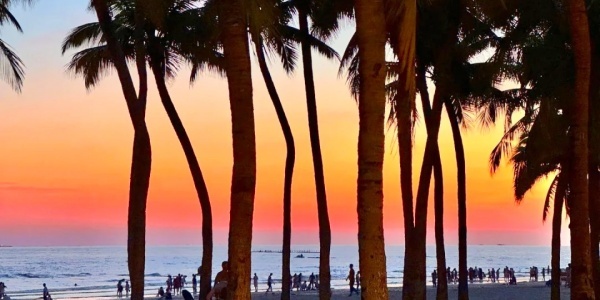 Coconut Dream Corridor,sanya tour,couple travel.jpg