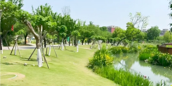 Tianfu Furong Garden.jpg