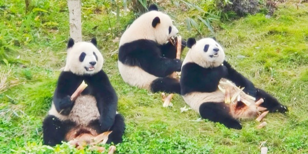 1742181742140.jpg ,family trip.jpg