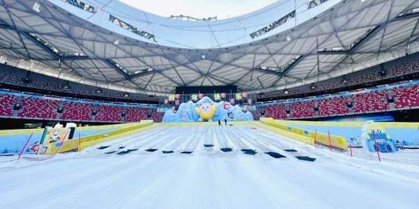 1742182740777.jpg Bird's Nest Ice.jpg