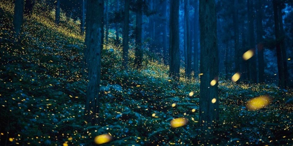 1742183220330.jpg family trip,1.jpg